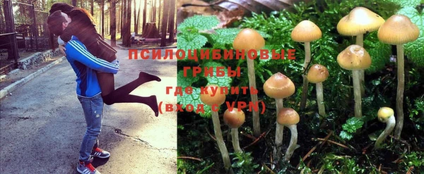 мет Богородск