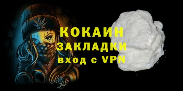 прущие крисы Бородино