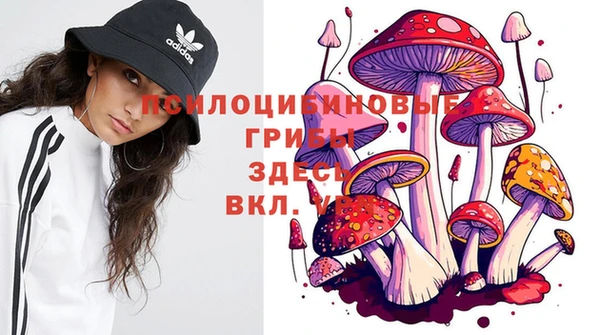 кокаин Богданович