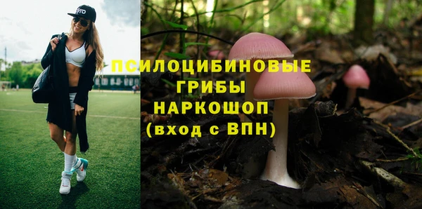 каннабис Билибино