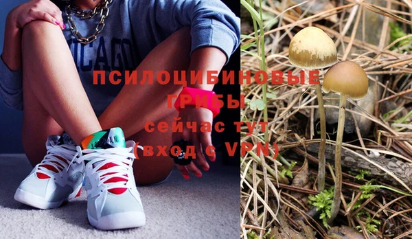 кокаин Богданович