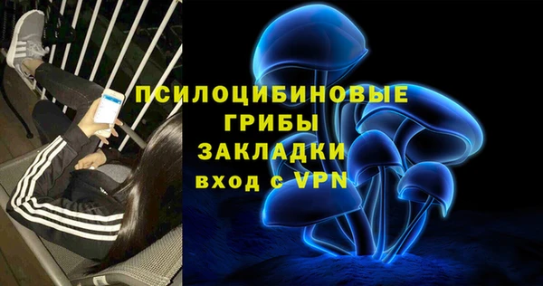 кокаин премиум Богородицк