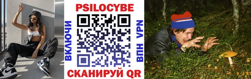 блэк спрут   Вятские Поляны  Галлюциногенные грибы GOLDEN TEACHER 
